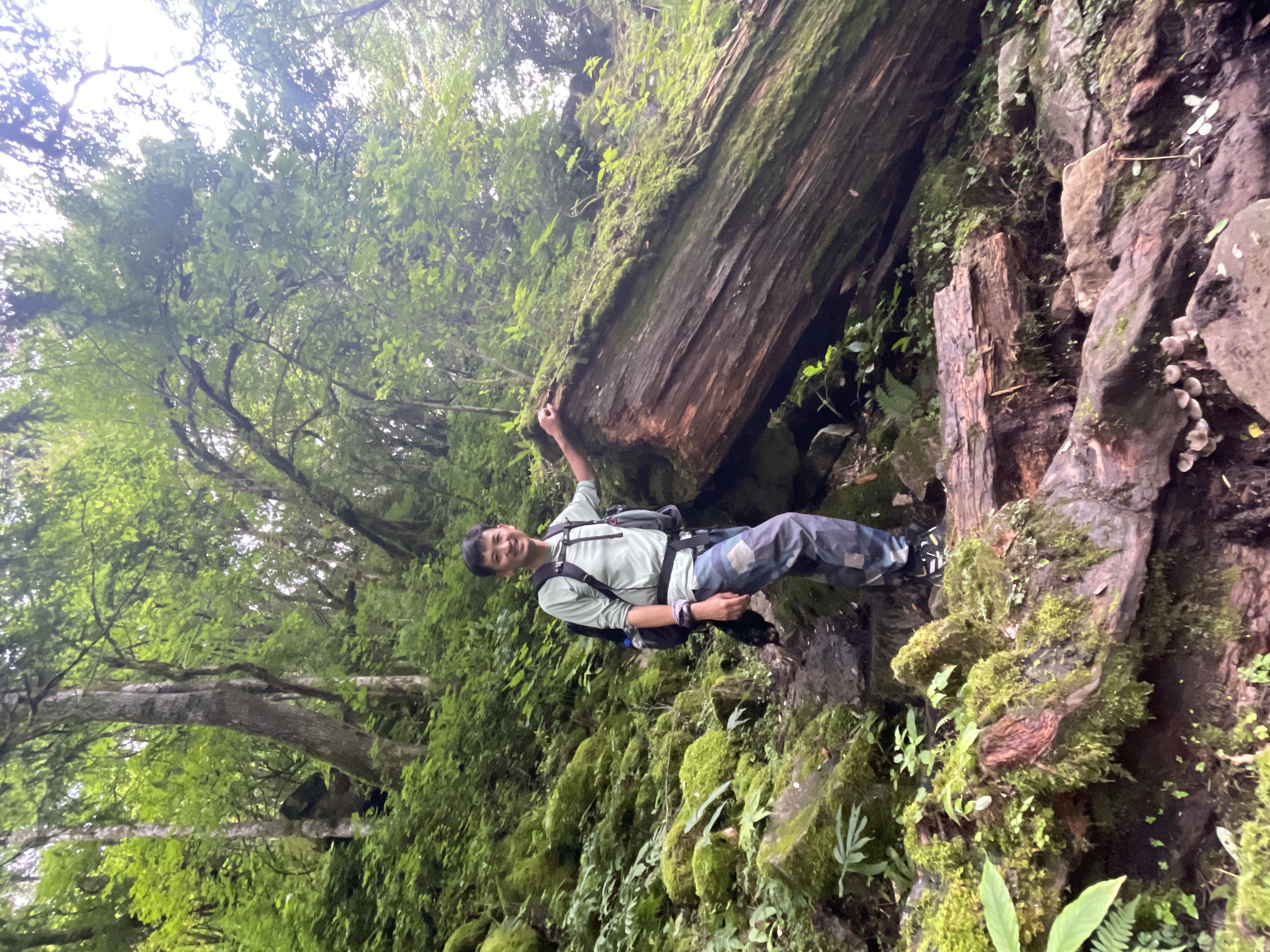 Meili Snow Mountain Vista