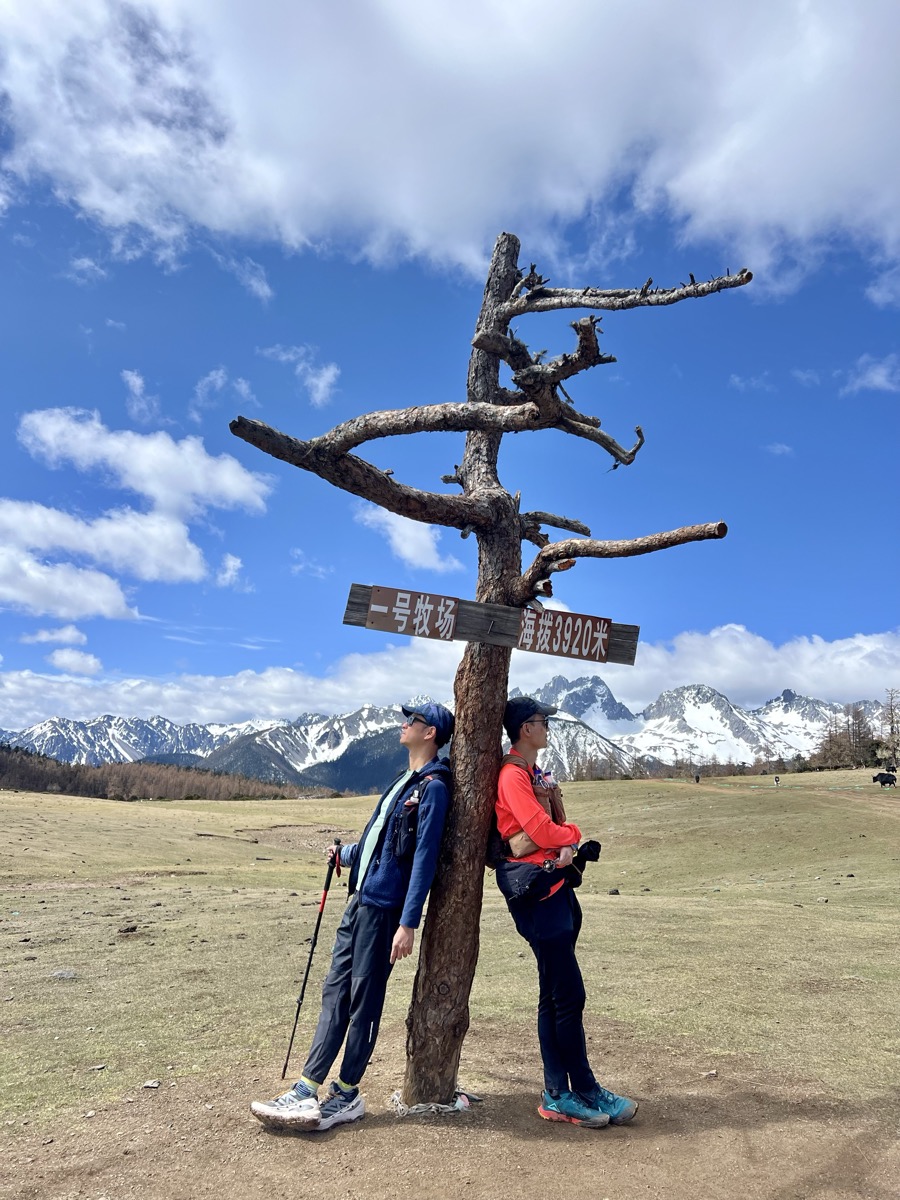 Alpine Meadow at 3,920m