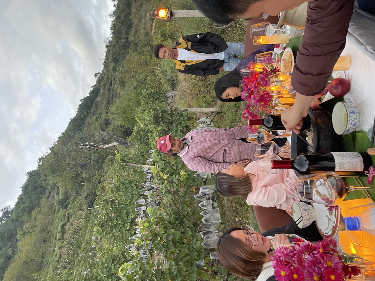 Wine Cellar Interior