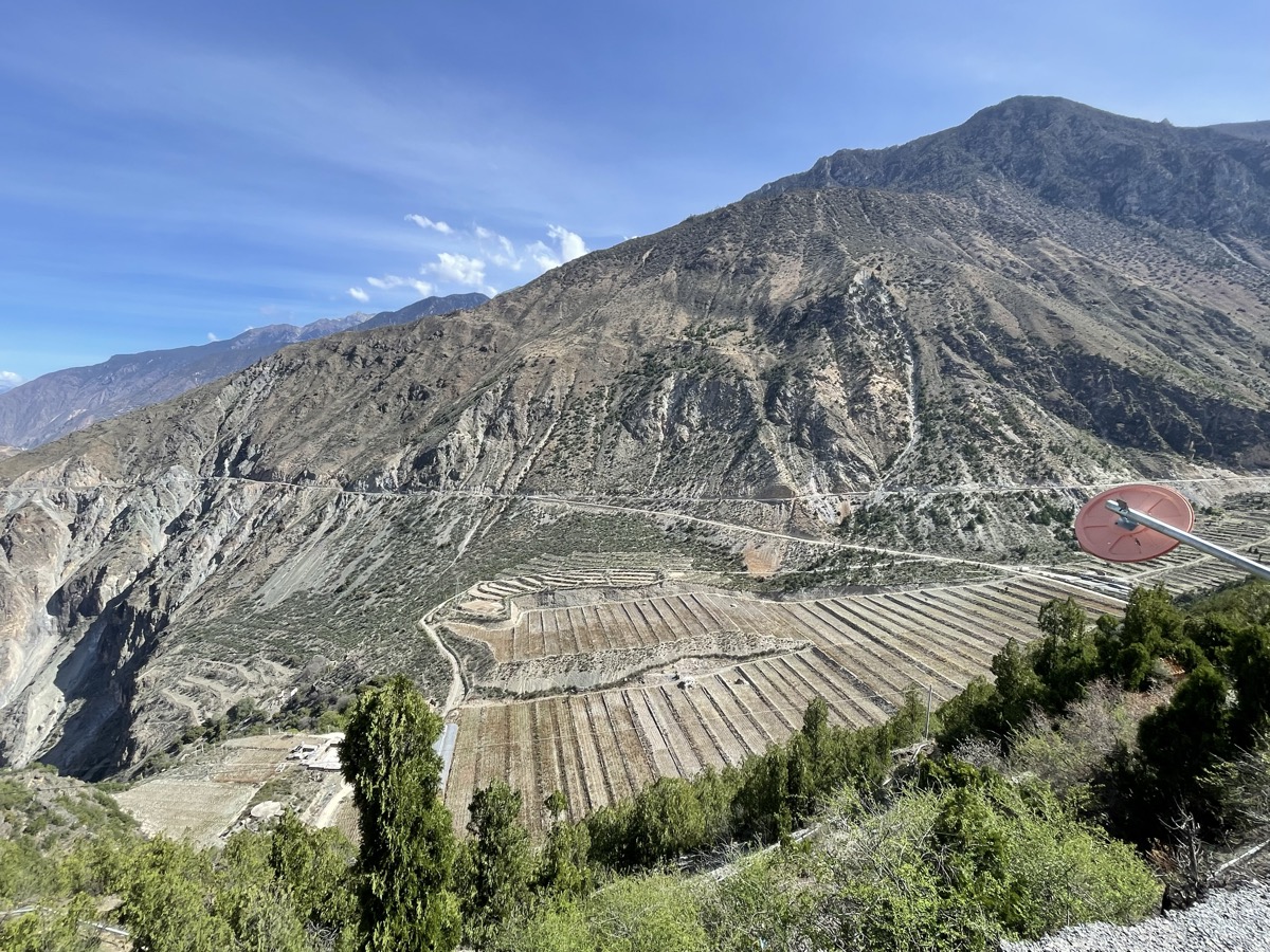 Terraced Vineyards